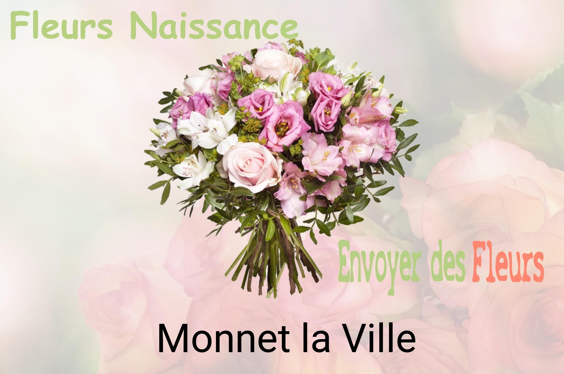 Bouquet de fleurs de naissance livré à Monnet-la-Ville