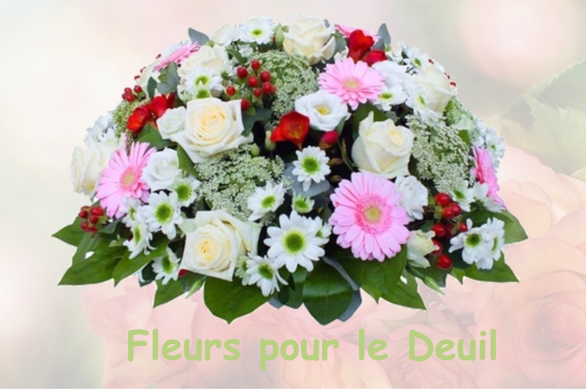 fleurs deuil MONNET-LA-VILLE