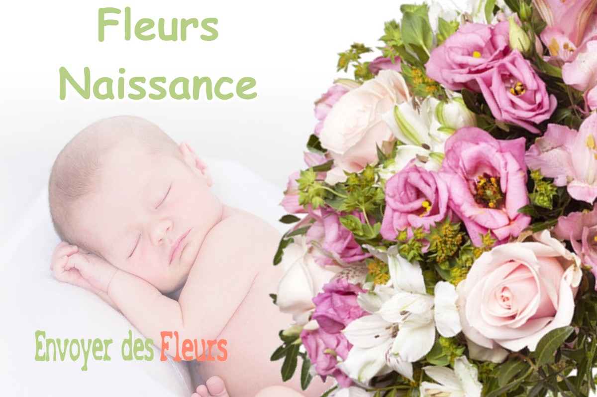 lIVRAISON FLEURS NAISSANCE à MONNET-LA-VILLE