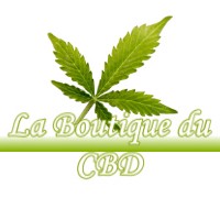 LA BOUTIQUE DU CBD MONNET-LA-VILLE 