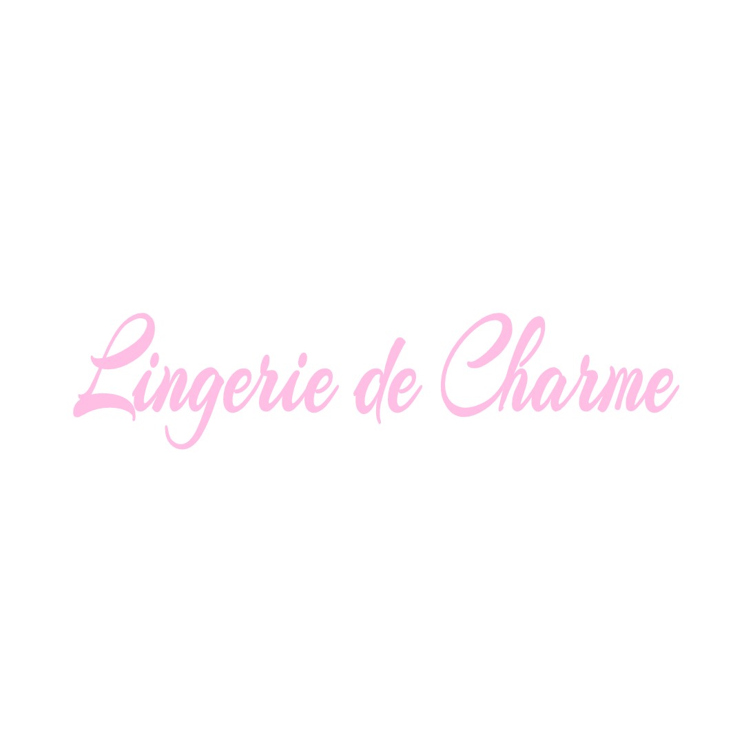 LINGERIE DE CHARME MONNET-LA-VILLE